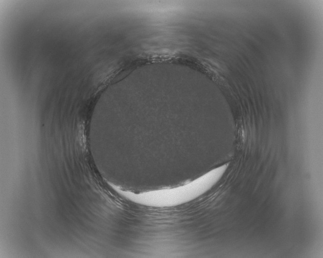 X0000066111252200603241535