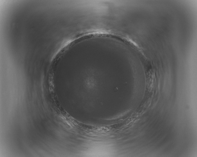 X0000066111255200603241535