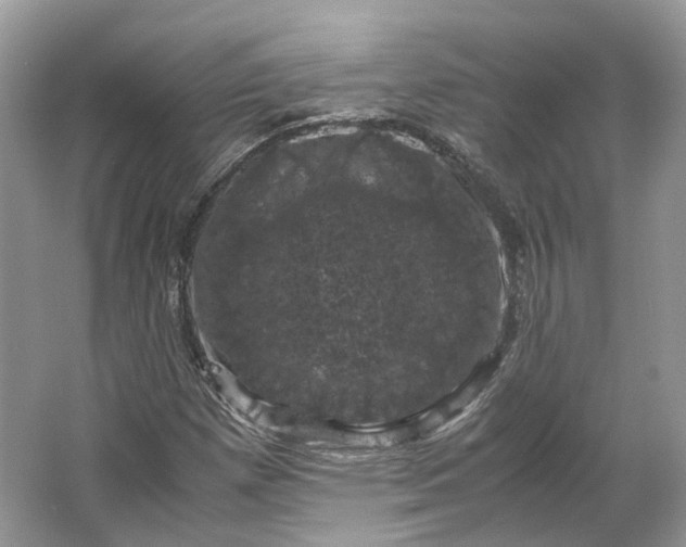 X0000066111257200603241535