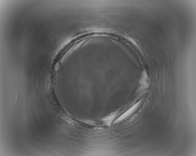X0000066111263200603241535