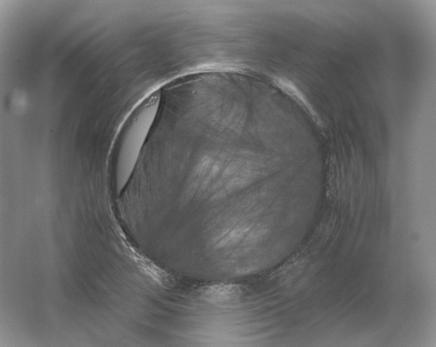 X0000066111268200603241535
