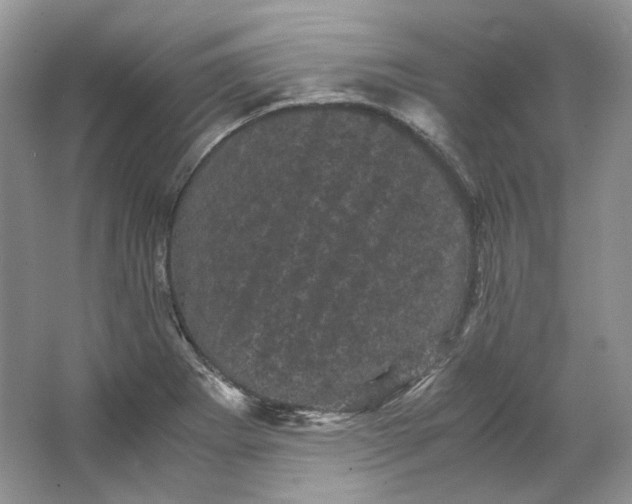 X0000066111273200603241535