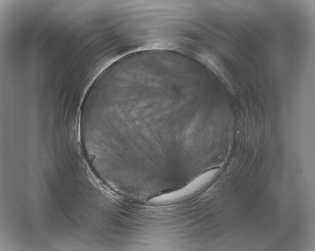 X0000066111276200603241535