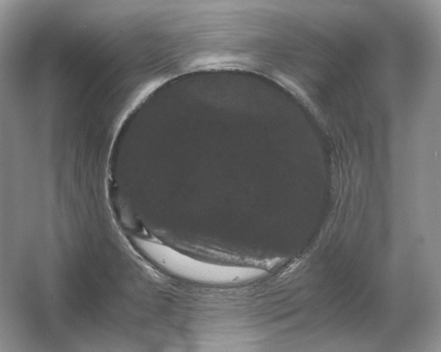 X0000066111277200603241535