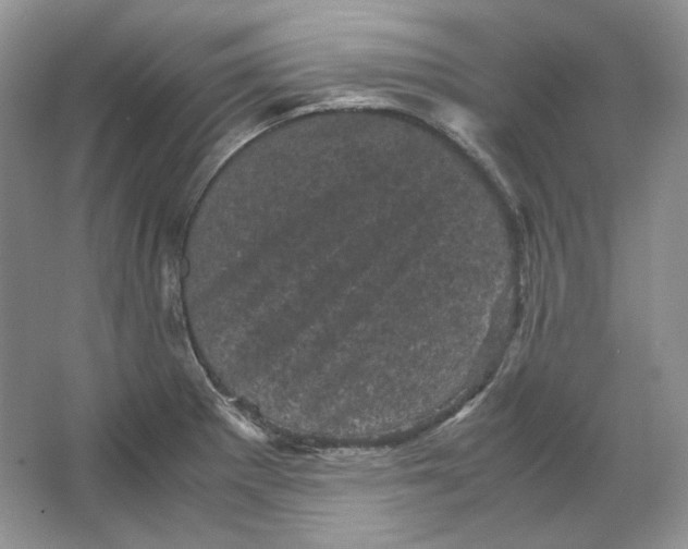 X0000066111281200603241534