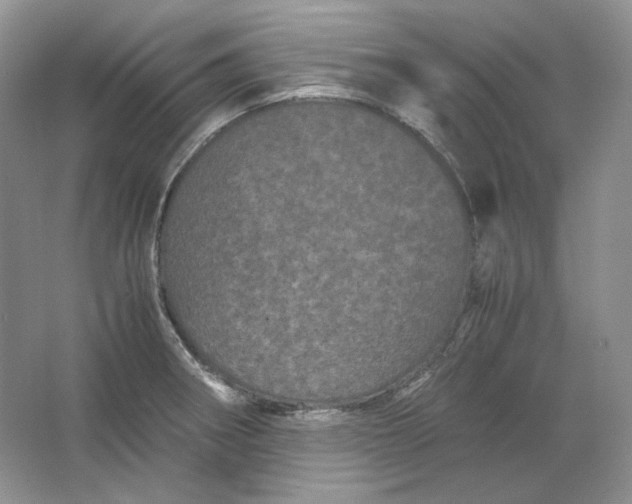 X0000066111282200603241534