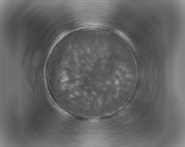 X0000066111283200603241534