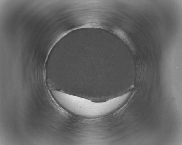X0000066111284200603241534