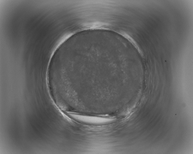 X0000066111285200603241534