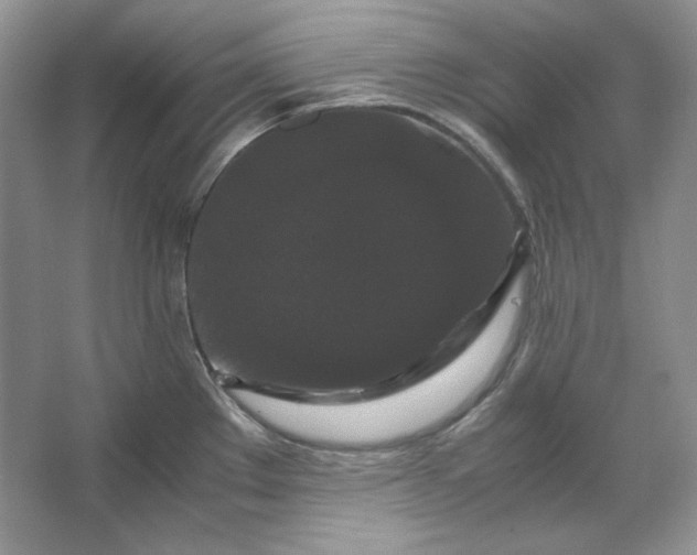 X0000066111289200603241534