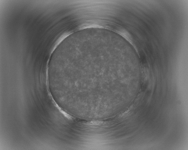X0000066111290200603241534