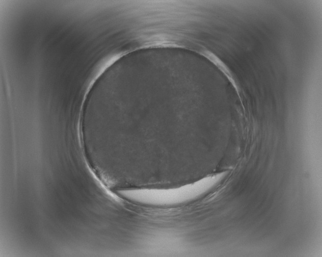 X0000066111293200603241534