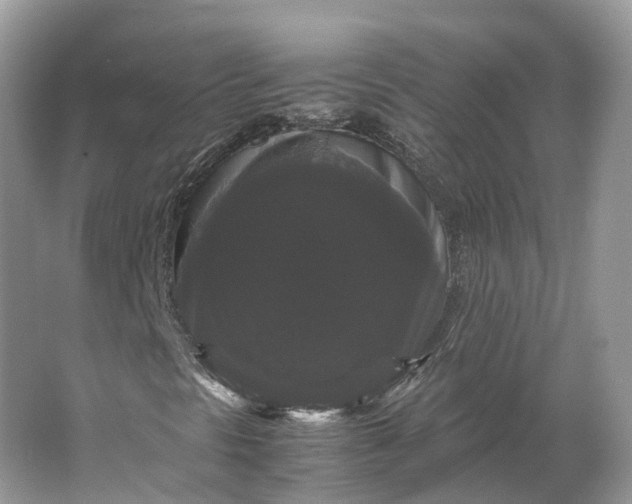 X0000066111297200603241533