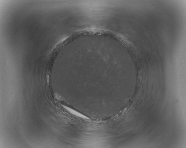 X0000066111302200603241533