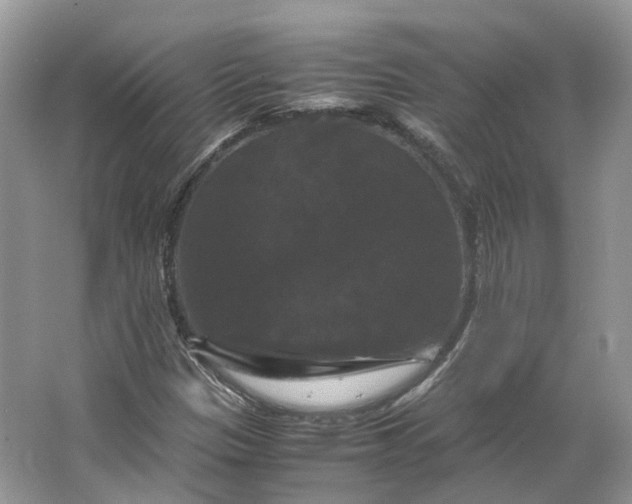 X0000066111305200603241534