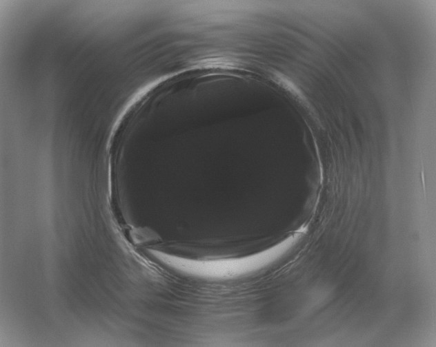X0000066111323200603241534