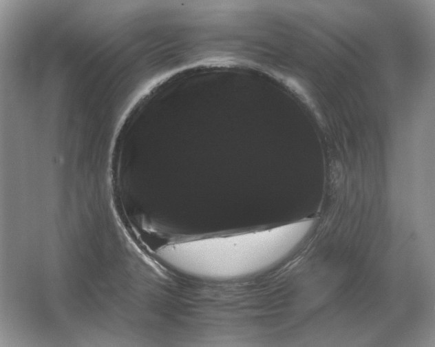 X0000066111327200603241534