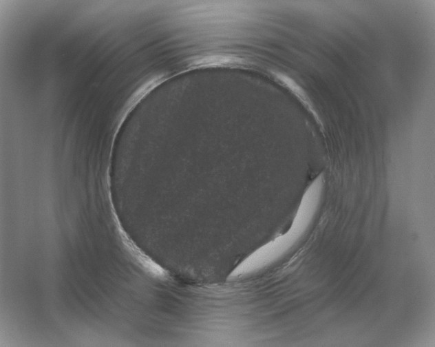 X0000066111330200603241534