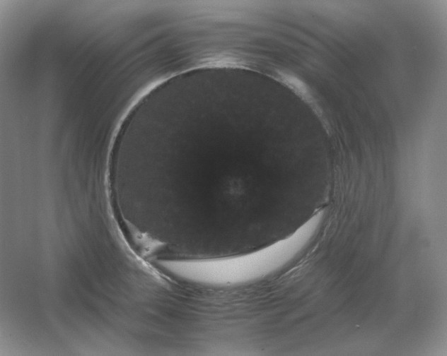 X0000066111331200603241534