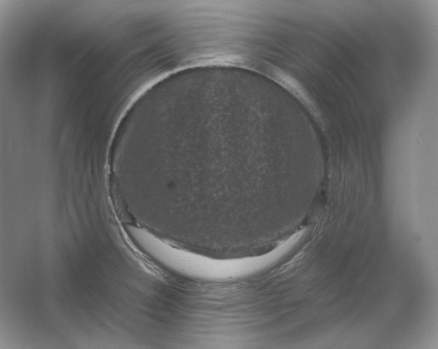 X0000066111332200603241534