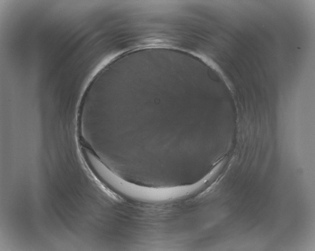 X0000066111333200603241534