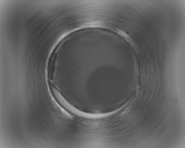 X0000066111334200603241534