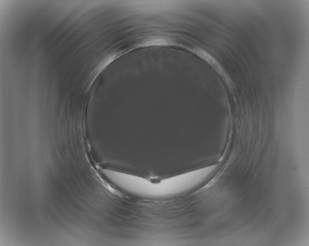 X0000066111337200603241534