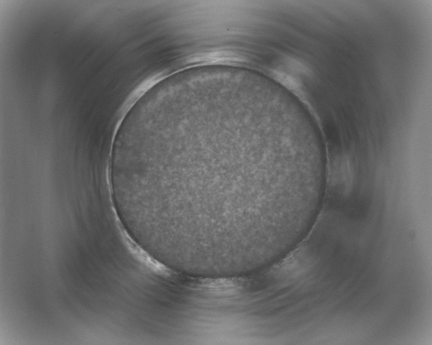 X0000066111338200603241534