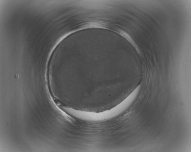 X0000066111339200603241534