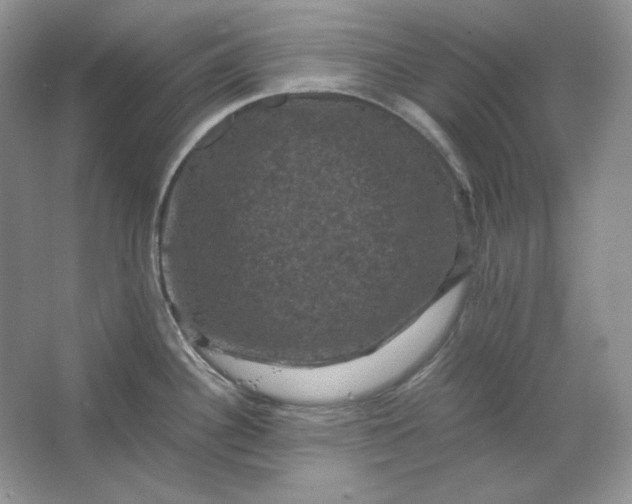 X0000066111340200603241534