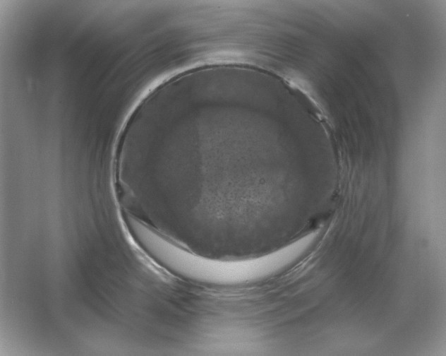 X0000066111342200603241534