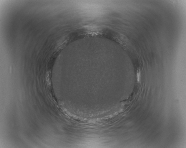 X0000066111347200603241533