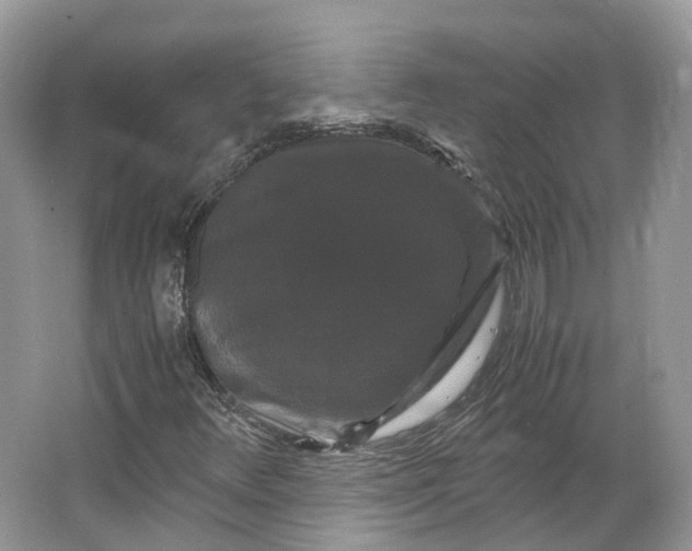 X0000066111348200603241533