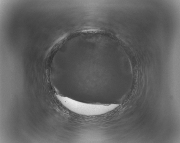 X0000066111351200603241533
