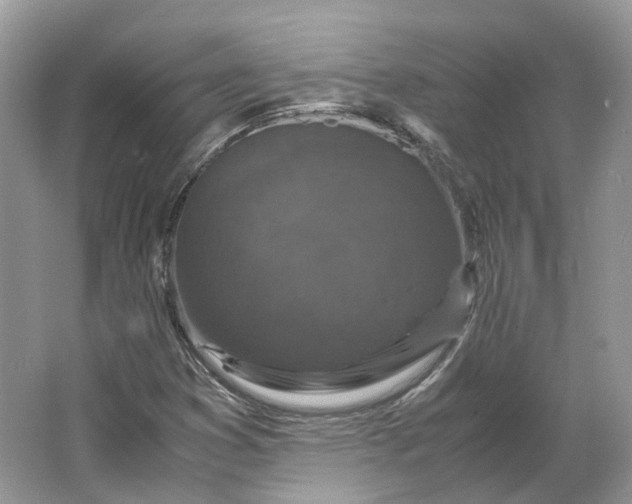 X0000066111353200603241533