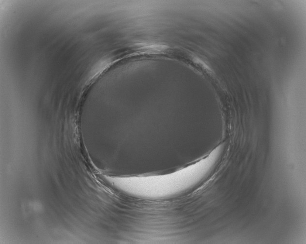 X0000066111354200603241533