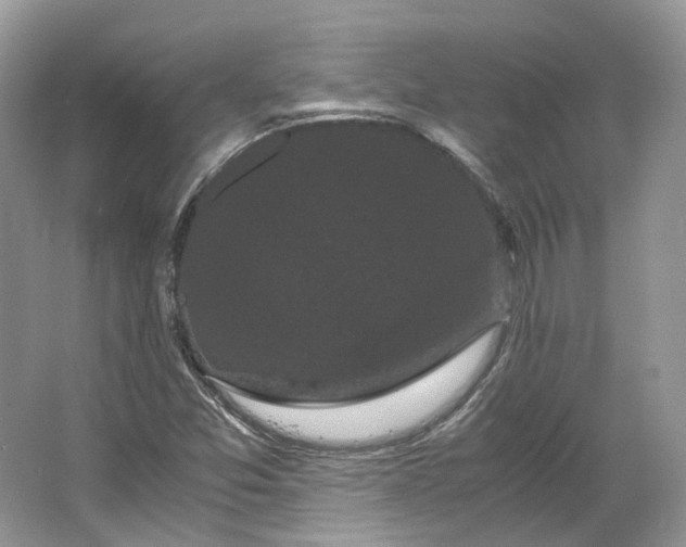 X0000066111357200603241533