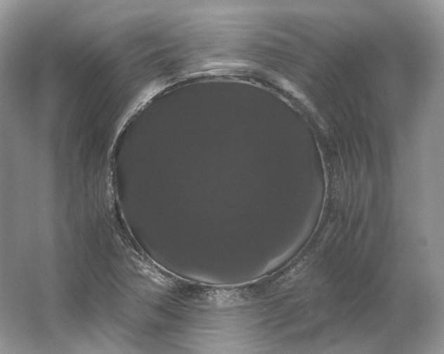 X0000066111362200603241533