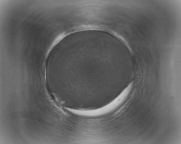 X0000066111365200603241533