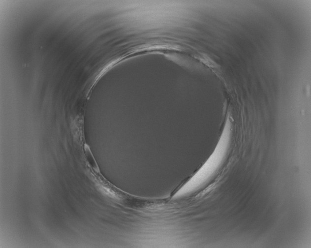 X0000066111369200603241533