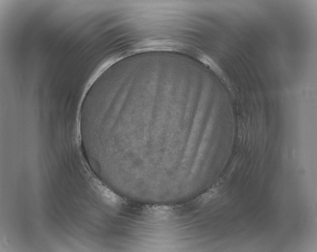 X0000066111370200603241533