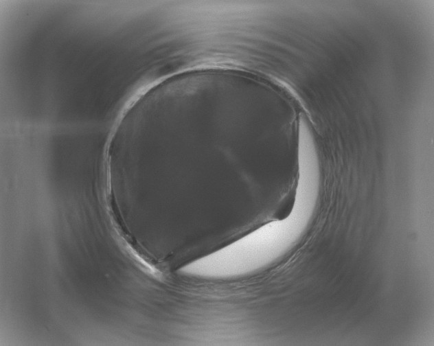 X0000066111371200603241533