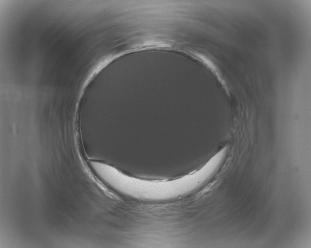 X0000066111373200603241533