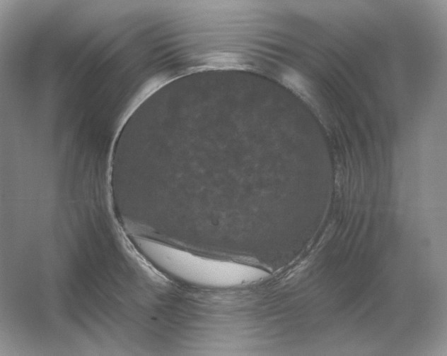 X0000066111378200603241533