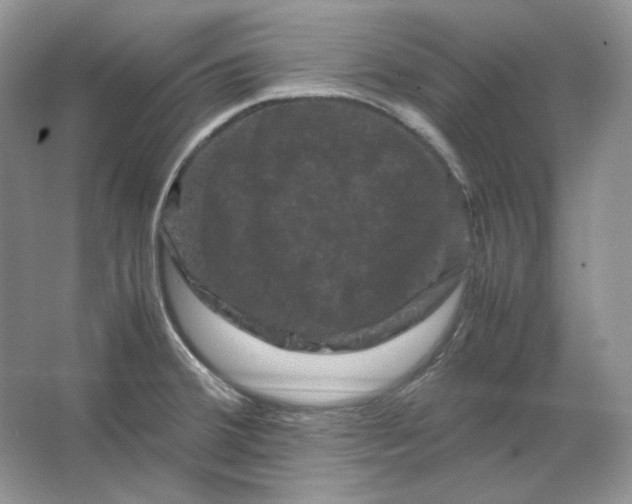 X0000066111380200603241533