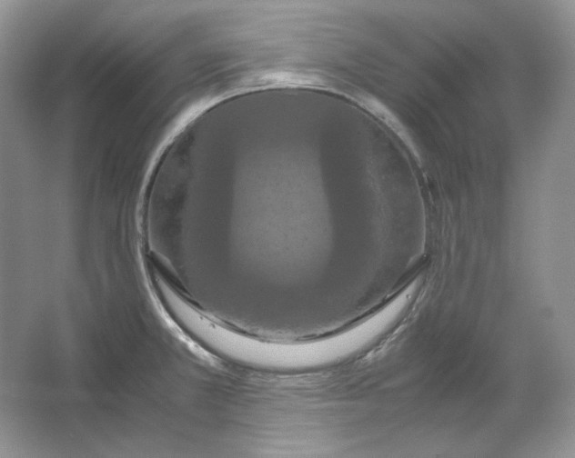 X0000066111381200603241533