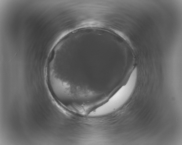 X0000066111383200603241533