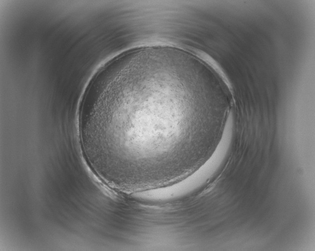 X0000066111388200603241533