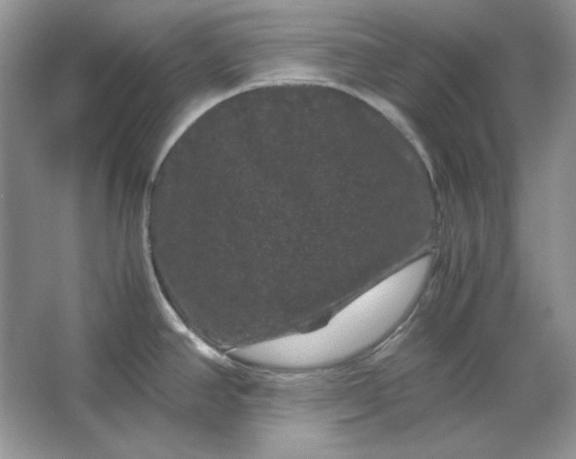 X0000066111390200603241533