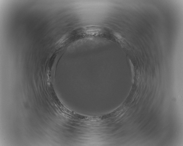 X0000066111394200603241532